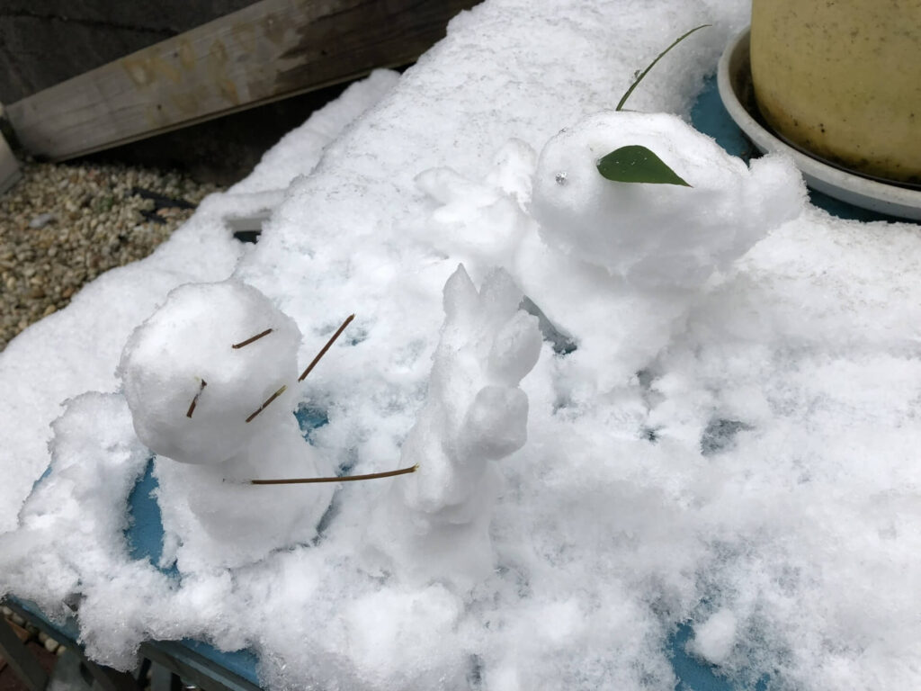 雪だるまと雪うさぎ