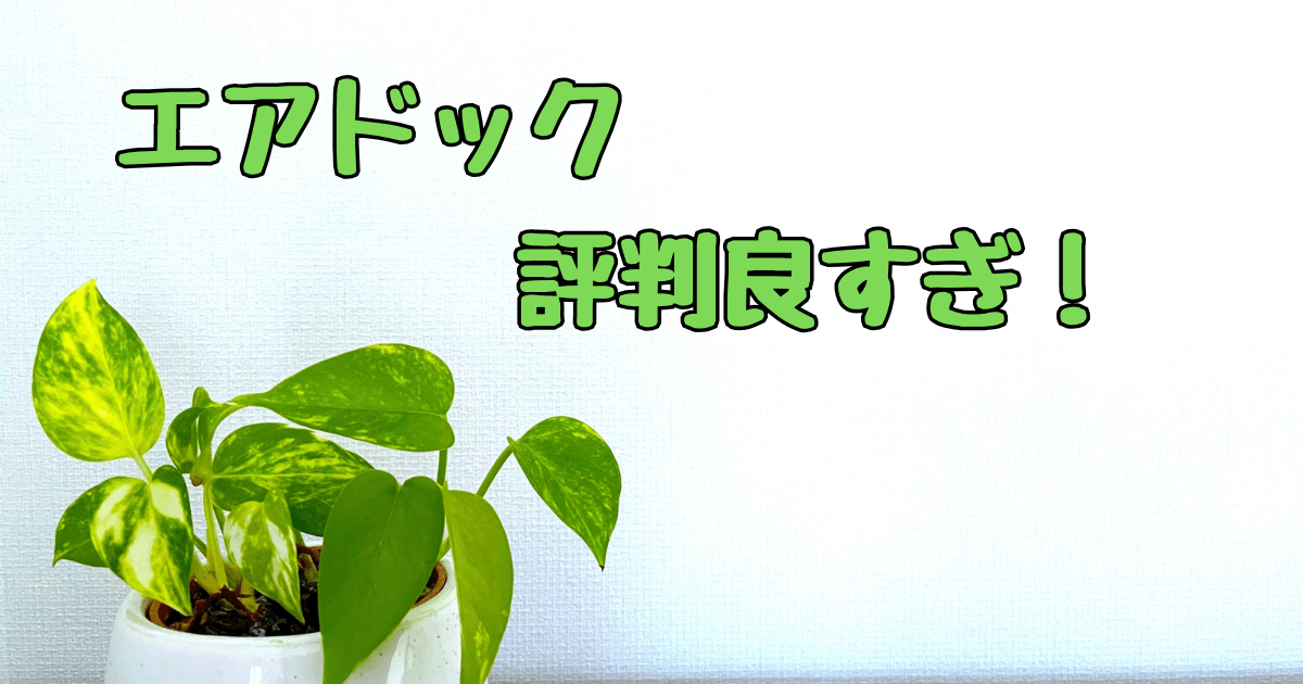 エアドッグが怪しいと言われる理由は？注目の評判と実力を徹底調査