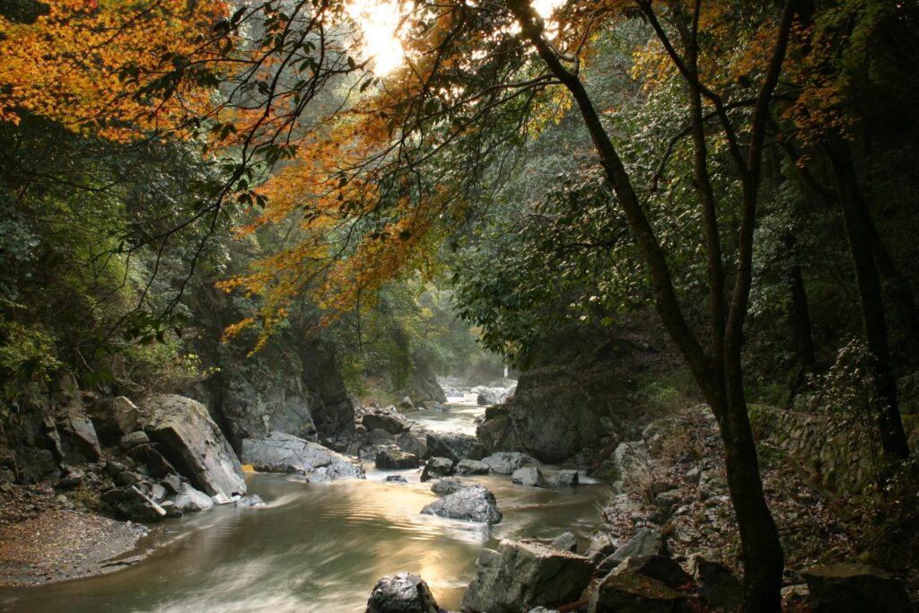 摂津峡 紅葉